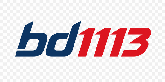 bd1113 logo